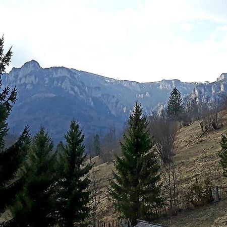 Pensiunea Bobu Hotel Извору Мунтелуи Екстериор снимка