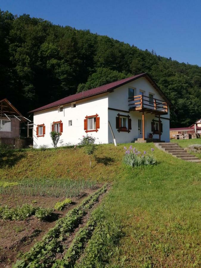 Pensiunea Bobu Hotel Извору Мунтелуи Екстериор снимка
