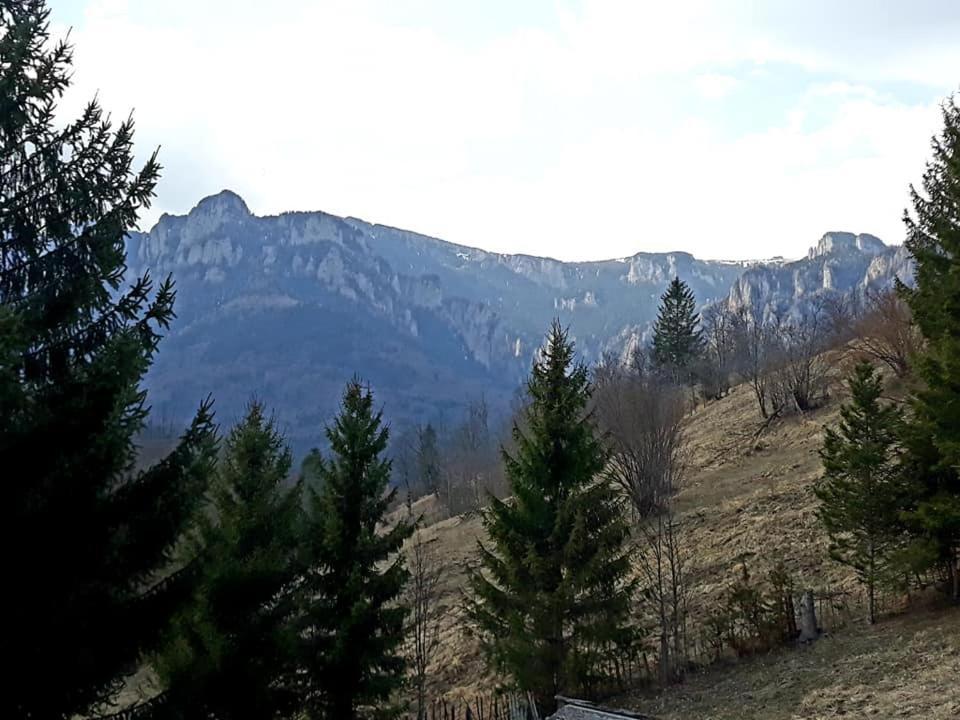 Pensiunea Bobu Hotel Извору Мунтелуи Екстериор снимка
